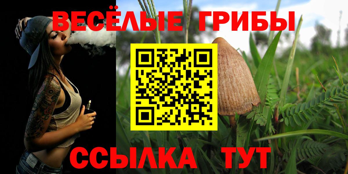 Галлюциногенные грибы мицелий Гай