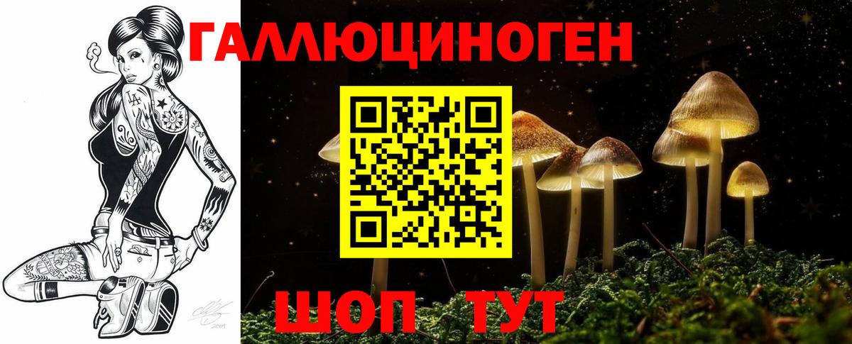 Псилоцибиновые грибы мухоморы  Вход с VPN  Гай 